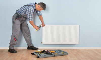 Çine Petek Temizleme Servisi